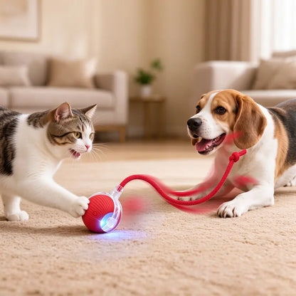 Unleash the Fun with Our Rechargeable Smart Rolling Cat Toy Ball! 🐾✨ Light-Up, Quiet, and Adjustable Modes - Perfect for Indoor Play! 🎉🐱 8 Colors & Bird Sounds for Endless Kitten Adventures! 🌈🎶