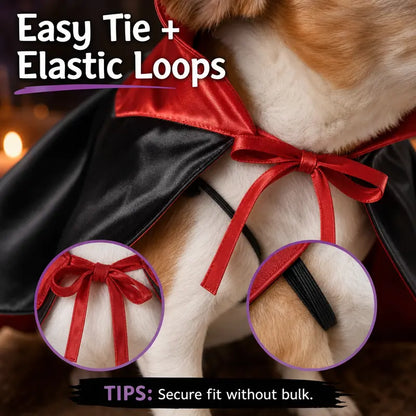 Pet Vampire Cape & Bat Wings Clothing Set - Fun Look Halloween Party Wear for Small to Large Cats and Dogs, Measure Neck for Proper Fit,Familyfun