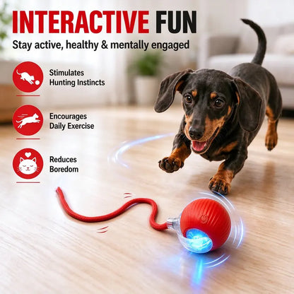 Unleash the Fun with Our Rechargeable Smart Rolling Cat Toy Ball! 🐾✨ Light-Up, Quiet, and Adjustable Modes - Perfect for Indoor Play! 🎉🐱 8 Colors & Bird Sounds for Endless Kitten Adventures! 🌈🎶